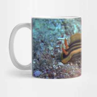 Chromodoris joshi nudibranch Mug